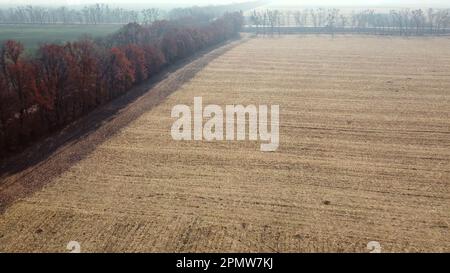 Grand champ jaune après récolte de blé, arbres, route de terre, champ avec plantes agricoles vertes, autoroute avec des voitures mobiles le jour ensoleillé de l'automne. Vue aérienne de drone. Paysage agricole agraire. Banque D'Images