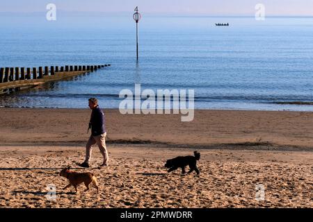Édimbourg, Écosse, Royaume-Uni. 15th avril 2023. Quelques activités tôt le matin sur la plage de Portobello avec les gens appréciant le doux début de la journée avec le ciel bleu et le soleil. Marcher le chien le long de la plage avec un bateau à rames dans l'estuaire. Crédit : Craig Brown/Alay Live News Banque D'Images