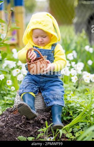 enfant en costume aux jardiniers et bottes en caoutchouc s'assoit sur une souche avec un panier. Concept d'usine de plantation Banque D'Images