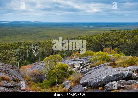 Vue depuis le mont Chudalup, une île écologique granitique (inselberg) dans les marais entre Northcliffe et Windy Harbour, au sud de l'Australie occidentale Banque D'Images