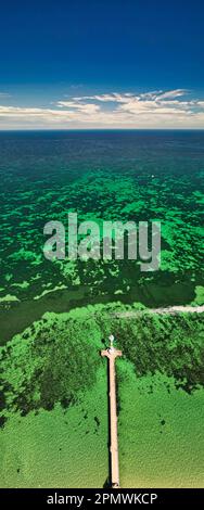 Une vue aérienne de Brighton Jetty sur fond d'eau vert émeraude et de ciel bleu. Australie. Banque D'Images