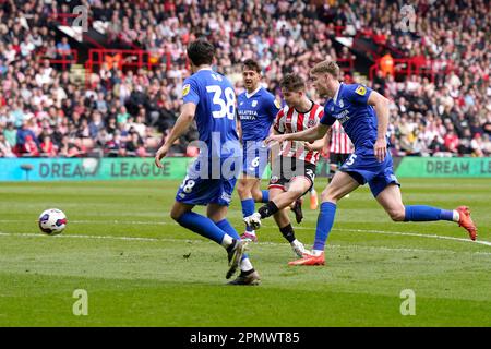 Sheffield, Royaume-Uni. 15th avril 2023. James McAtee de Sheffield Utd (c) a obtenu des scores lors du match du championnat Sky Bet à Bramall Lane, Sheffield. Le crédit photo devrait se lire: Andrew Yates/Sportimage crédit: Sportimage/Alay Live News Banque D'Images