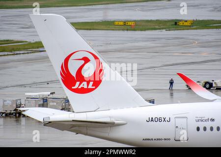 Tokyo, Japon. 15th avril 2023. Avion de Japan Airlines (JAL) vu à l'aéroport international de Tokyo, communément connu sous le nom d'aéroport Haneda à Tokyo. Crédit : SOPA Images Limited/Alamy Live News Banque D'Images
