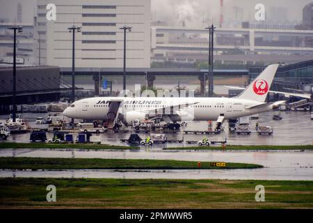 Tokyo, Japon. 15th avril 2023. Avion de Japan Airlines (JAL) vu à l'aéroport international de Tokyo, communément connu sous le nom d'aéroport Haneda à Tokyo. Crédit : SOPA Images Limited/Alamy Live News Banque D'Images