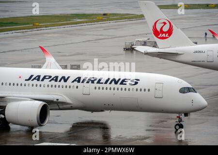 Tokyo, Japon. 15th avril 2023. Avions Japan Airlines (JAL) vus à l'aéroport international de Tokyo, communément appelé aéroport Haneda de Tokyo. (Photo de James Matsumoto/SOPA Images/Sipa USA) crédit: SIPA USA/Alay Live News Banque D'Images