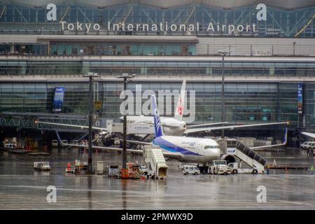 Tokyo, Japon. 15th avril 2023. Avions Japan Airlines (JAL) vus à l'aéroport international de Tokyo, communément appelé aéroport Haneda de Tokyo. (Photo de James Matsumoto/SOPA Images/Sipa USA) crédit: SIPA USA/Alay Live News Banque D'Images