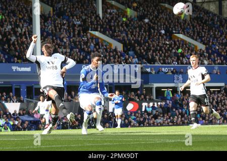 Demarai Gray (à Gauche) D'Everton Et Tofin Adarabioyo De Fulham Se ...