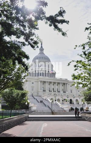 Le Capitole des États-Unis a déclaré encadré par des arbres au premier plan Banque D'Images