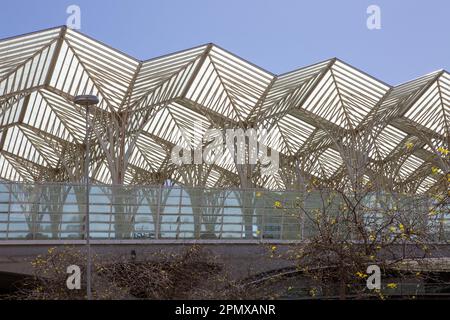 Lissabon, Portugal. 06th avril 2023. Le toit de la station Oriente. Crédit : Viola Lopes/dpa/Alamy Live News Banque D'Images