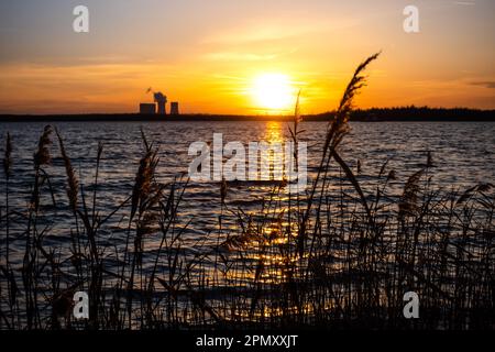 Roseaux sur la rive du lac Störmthal au coucher du soleil. ciel orange. réflexion du soleil sur l'eau. Loin en arrière-plan, la centrale électrique de Lippendorf. Banque D'Images