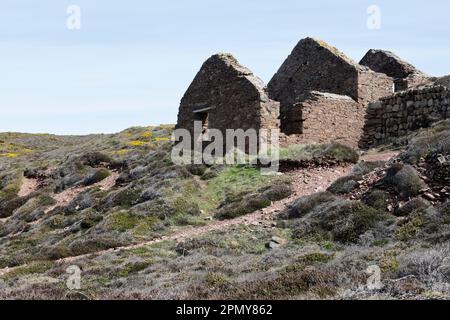Ruines à la mine d'étain Wheal Coates, près de St. Agnes, côte nord de Cornwall, Royaume-Uni Banque D'Images