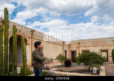 Un homme visitant l'ancienne école modèle rustique avec cactus à Mineral de Pozos Guanajuato Mexique Banque D'Images