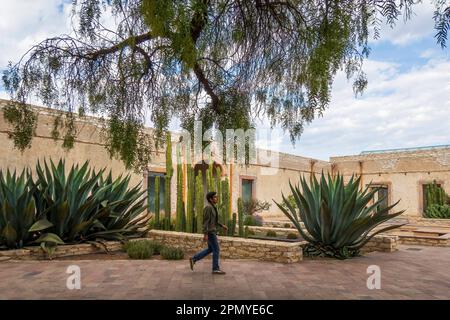 Un homme visitant l'ancienne école modèle rustique avec cactus à Mineral de Pozos Guanajuato Mexique Banque D'Images