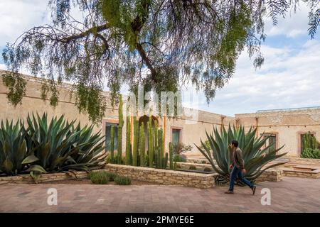 Un homme visitant l'ancienne école modèle rustique avec cactus à Mineral de Pozos Guanajuato Mexique Banque D'Images