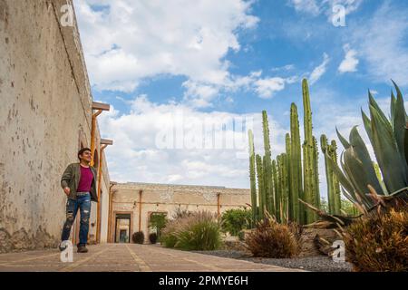 Un homme visitant l'ancienne école modèle rustique avec cactus à Mineral de Pozos Guanajuato Mexique Banque D'Images