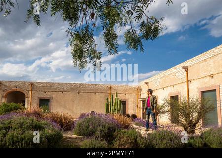 Un homme visitant l'ancienne école modèle rustique avec cactus à Mineral de Pozos Guanajuato Mexique Banque D'Images