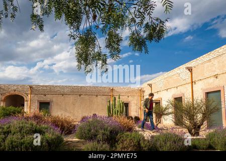 Un homme visitant l'ancienne école modèle rustique avec cactus à Mineral de Pozos Guanajuato Mexique Banque D'Images