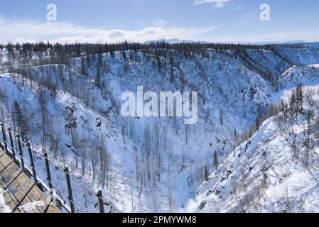 Gorge recouverte de neige et d'arbres sans feuilles. Banque D'Images