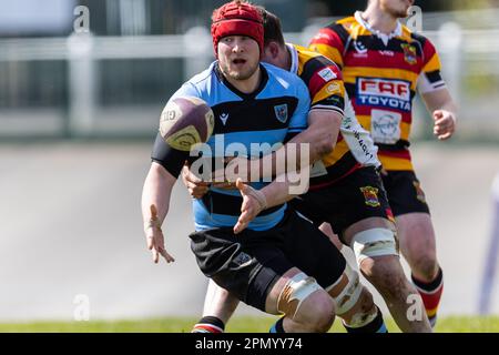 15th avril 2023 ; Carmarthen Park, Carmarthen, pays de Galles : Indigo Premiership Rugby, Carmarthen Quins versus Cardiff ; Ellis Thomas, flanker de Cardiff (6) en action. Crédit : images de sports action plus/Alamy Live News Banque D'Images