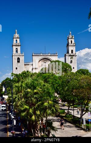 Cathédrale San Ildefonso face à la Plaza Grande au centre de la ville historique de Merida, Yucatan, Mexique. Banque D'Images