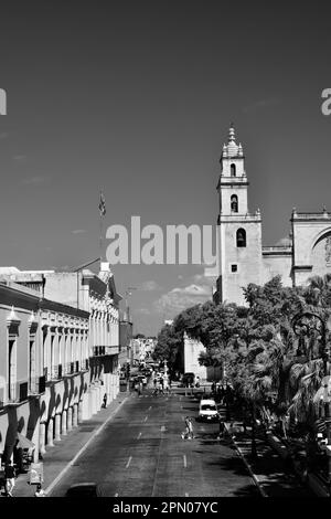 Une photo verticale en noir et blanc d'une partie de la cathédrale San Ildefonso, 61st rue, et du Palais d'Etat. Merida, Yucatan, Mexique. Banque D'Images