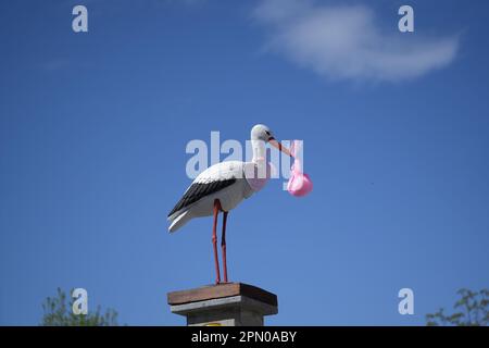 White Stork annonçant la naissance d'une petite fille. Livraison d'un nouveau-né Banque D'Images