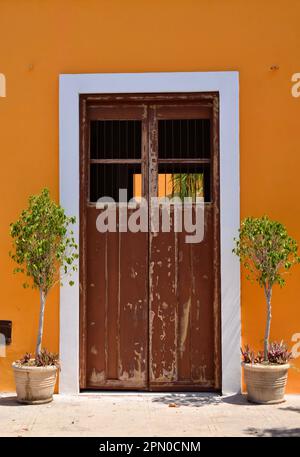 Une magnifique porte en bois encadrée par deux plantes en pot dans une rue du centre historique de Merida, Yucatan, Mexique. Banque D'Images