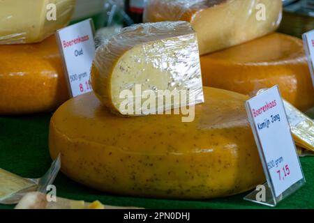 Dégustation de différents fromages dans la fromagerie hollandaise, traduction anglaise est le fromage fermier kumin jeune et vieux Banque D'Images