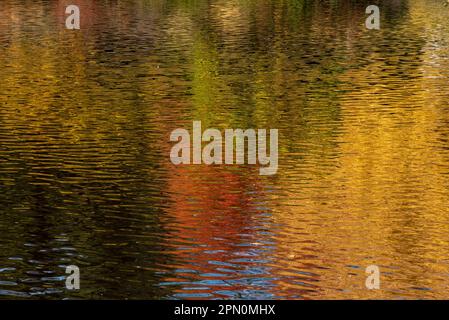 Composition abstraite d'automne avec reflet du feuillage d'automne sur un lac - grand fond et espace de copie de toile de fond Banque D'Images