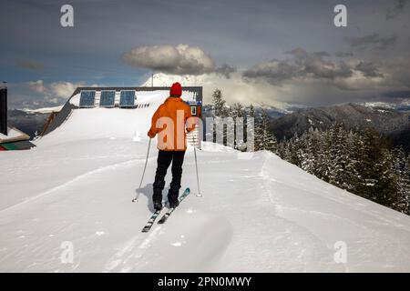 WA23351-00...WASHINGTON - ski de fond arrivant à High Hut dans la région de Mount Tahoma Trails Association South Unit. Banque D'Images