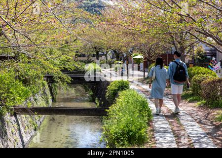 Kyoto Japon avril 2023, sentier de randonnée de philosophes au cours de la saison des cerisiers en fleurs, du nom des philosophes japonais et de la marche populaire pour les habitants Banque D'Images