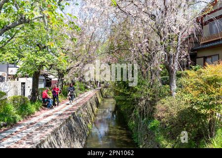 Kyoto Japon avril 2023, sentier de randonnée de philosophes au cours de la saison des cerisiers en fleurs, du nom des philosophes japonais et de la marche populaire pour les habitants Banque D'Images