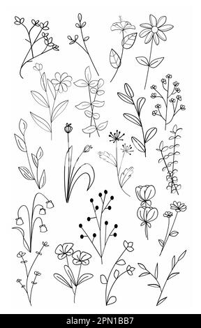 Ensemble de branches florales et de feuilles minimalistes pour logo ou tatouage. Fines herbes de mariage dessinées à la main, élégantes fleurs sauvages. Dessin dessin au trait minimal pour l'impression, Illustration de Vecteur