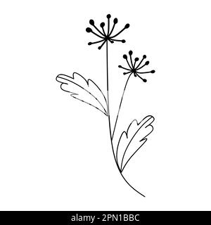 Adorable fleur botanique fleur vecteur illustration contour dessin à la main style design Illustration de Vecteur