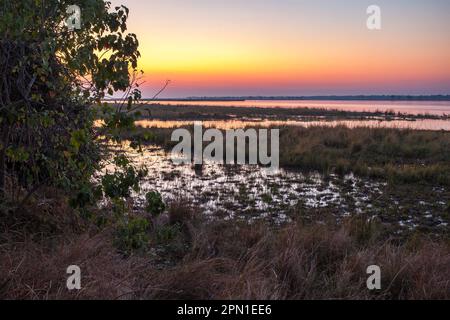 Vue sur le fleuve Zambèze, Royal Zambèze Lodge, Zambie, Afrique Banque D'Images