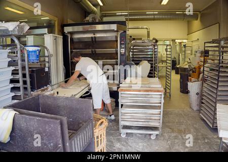 Vue à l'intérieur d'une boulangerie, boulangerie Baguette au port de Port Vendres, Pyrénées-Orientales, Languedoc-Roussillon, France du Sud, Europe Banque D'Images