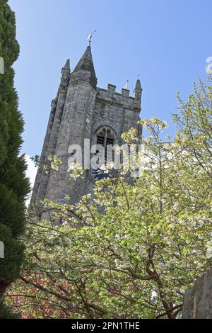 La tour de la cloche à l'église Saint-Maurice Plympton en pleine floraison saisonnière à la mi-avril. Face nord. Banque D'Images