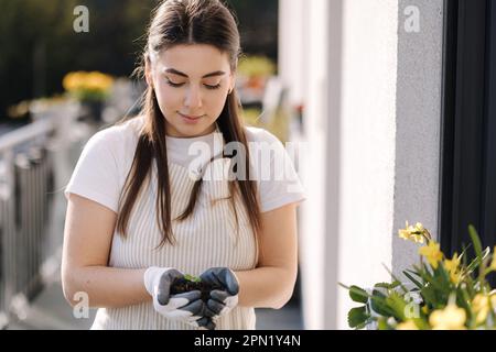 Une belle agricultrice tient la jeune plante entre les mains. Femme tenant dans les mains vert germe sur sol noir. Banque D'Images