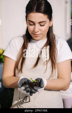 Une belle agricultrice tient la jeune plante entre les mains. Femme tenant dans les mains vert germe sur sol noir. Banque D'Images