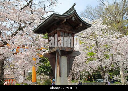 Sanctuaire Hirano, Kyoto, Japon Banque D'Images