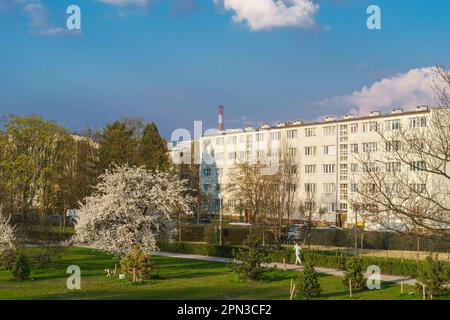 bloc d'appartements près d'un parc de la ville Banque D'Images