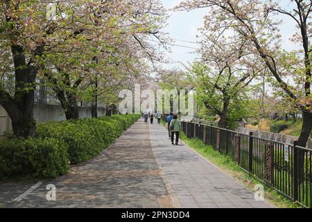 Rivière Yamazaki, Nagoya, Japon Banque D'Images