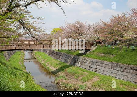 Rivière Yamazaki, Nagoya, Japon Banque D'Images