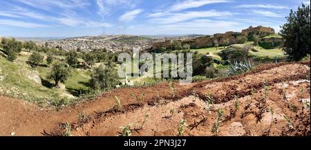 FES, Maroc : superbe horizon panoramique de la ville avec médina et ville Nouvelle entourée de collines vues de Borj Nord (Burj al-Shamal) fortification Banque D'Images