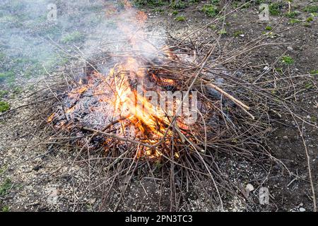 brûlez des branches et des brindilles d'arbres fruitiers dans un jardin rustique le soir du printemps Banque D'Images