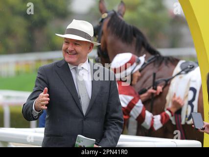 La course 1, HÉROS DE VUE, monté par Hugh Bowman, a gagné la classe 4 sur 1200m (gazon) à Sha Tin. David Hayes a célébré sa victoire. 26MAR23 SCMP / Kenneth Chan. Banque D'Images