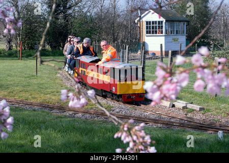 Minature Railway à Brogdale Farm National fruit Collection Faversham Kent, Royaume-Uni Banque D'Images