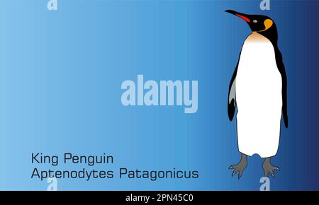 Roi Penguin - Illustration, joli manchot empereur debout Illustration de Vecteur