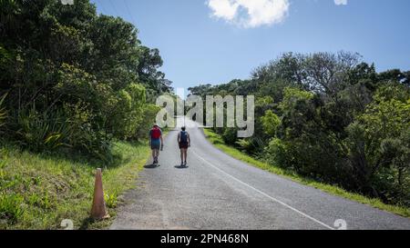 Deux personnes marchant sur la route asphaltée le jour d'été chaud. Waiheke Island. Banque D'Images