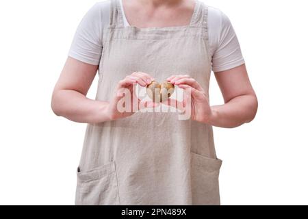 Pommes de terre en forme de coeur dans les mains d'une femme dans la cuisine, isolées sur un fond blanc. Les mains des femmes contiennent des pommes de terre non pelées Banque D'Images